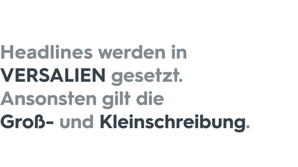 3sat bg quickguide template-typo-03